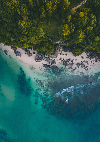 ELVIAL PRE-ANODIZING 2IN1