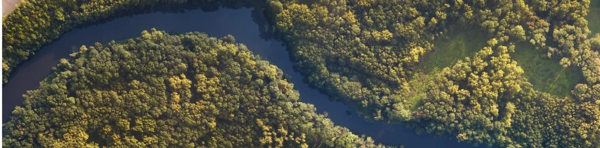 enviromental