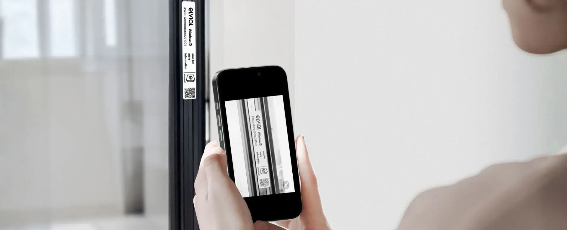 ELVIAL WINDOW.ID