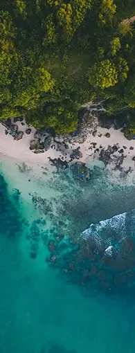 ELVIAL PRE-ANODISING 2in1