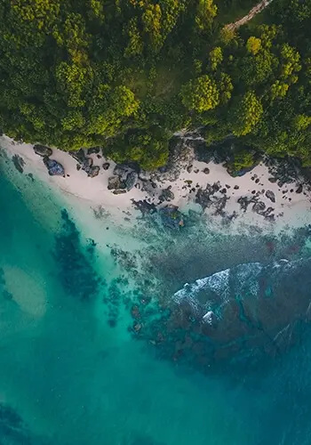 ELVIAL PRE-ANODIZING 2IN1