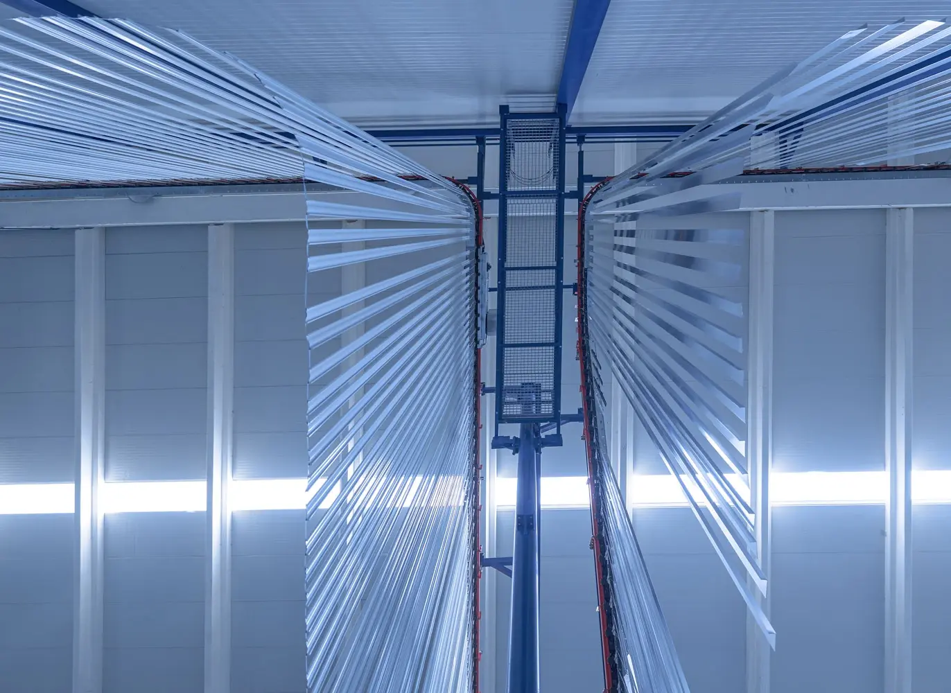 AN ABUNDANCE OF COLOURS