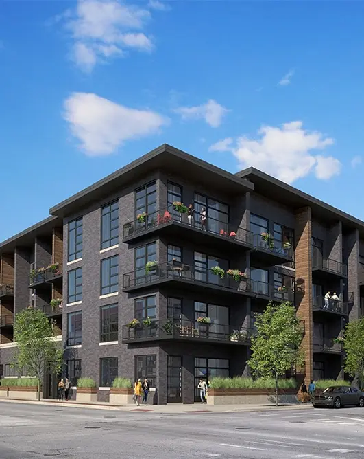 Maeve on Ashland | New York